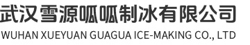 武汉雪源呱呱制冰有限公司